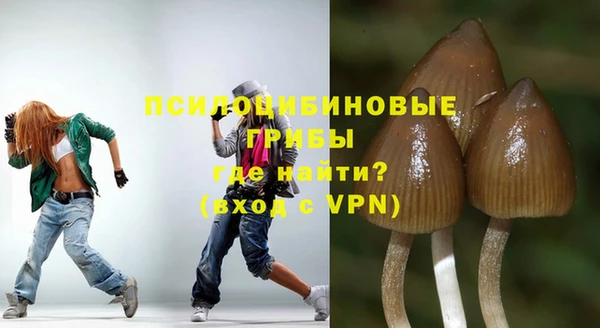 мет Вяземский